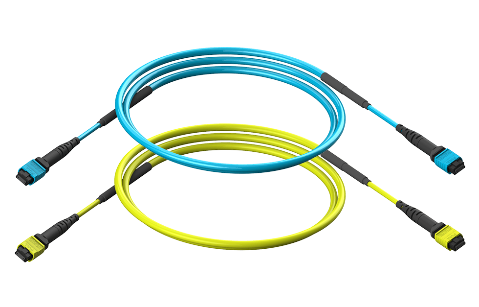 Оптическая транковая сборка ультравысокой плотности с коннекторами MTP мама и 12 волокнами MM (вверху) и SM (внизу) 